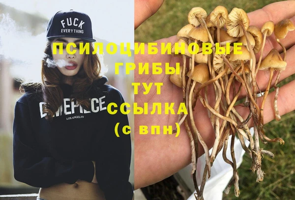 кокс Кинешма