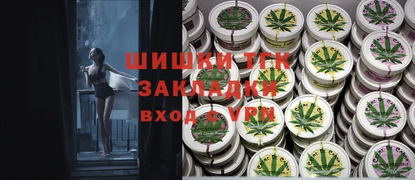 шишки Козельск