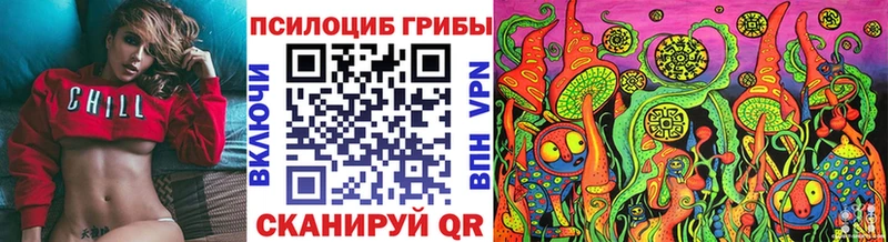 Купить  Котлас  Галлюциногенные грибы GOLDEN TEACHER 